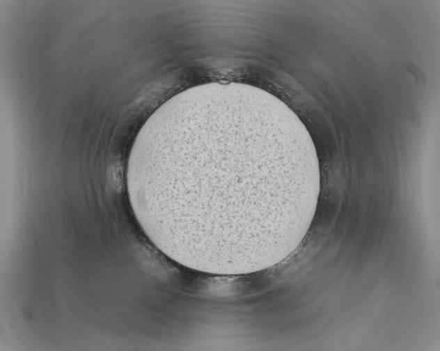 X0000112400090200909110938