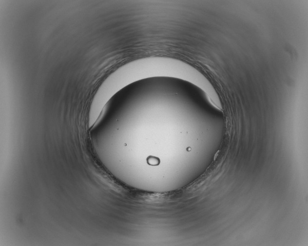 X0000112400092200909110938
