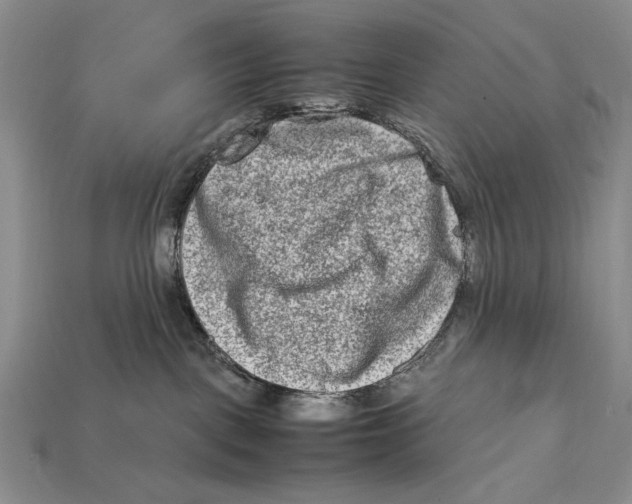 X0000112400093200909110938
