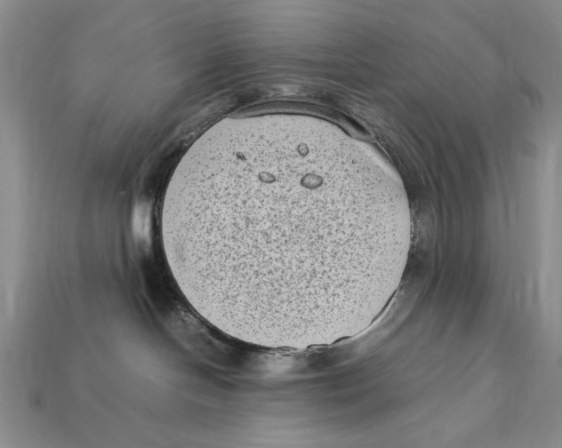 X0000112400094200909110938