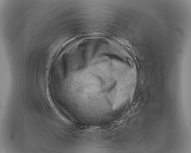 X0000112400097200909110937