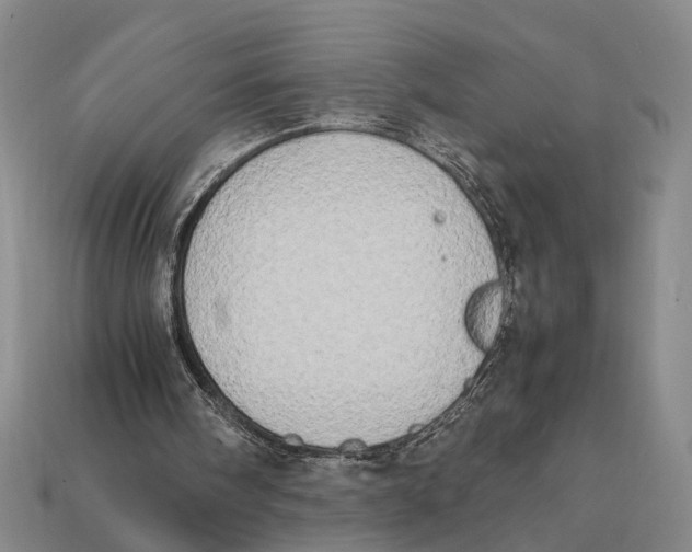 X0000112400098200909110937