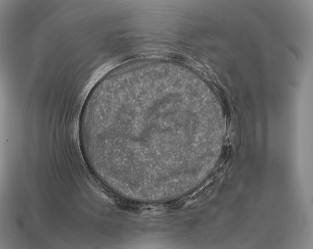 X0000112400099200909110937