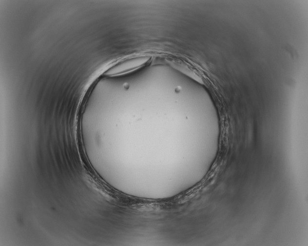 X0000112400100200909110937