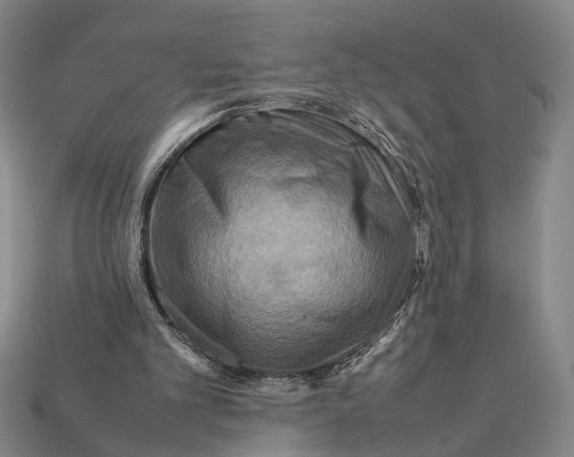 X0000112400101200909110937
