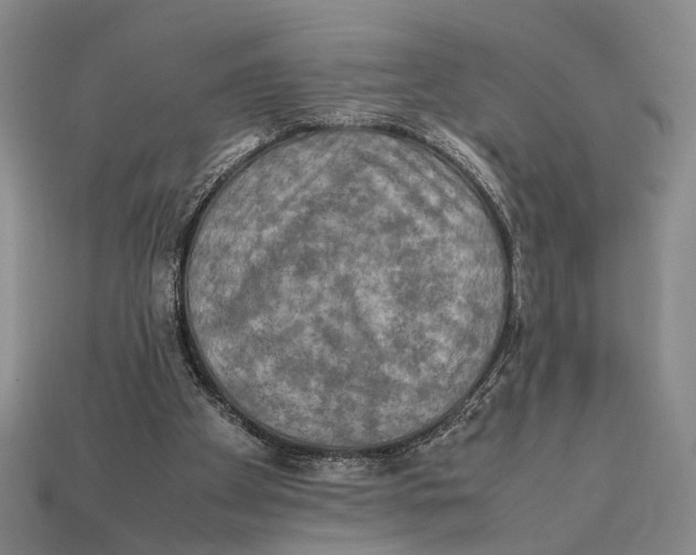 X0000112400105200909110937