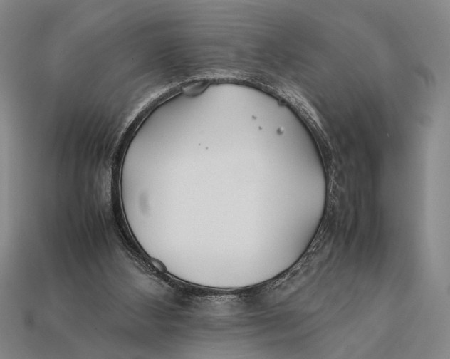 X0000112400108200909110937