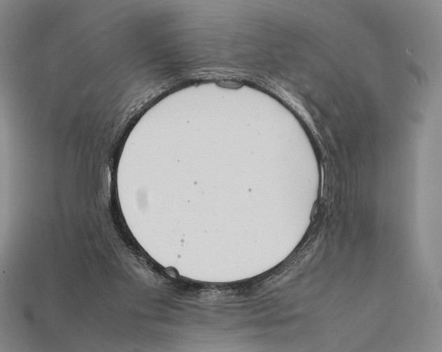 X0000112400109200909110937