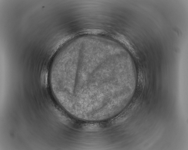 X0000112400110200909110937