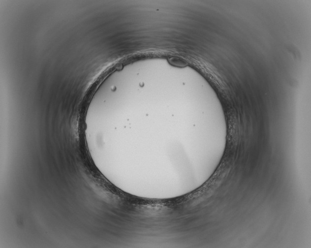 X0000112400112200909110937