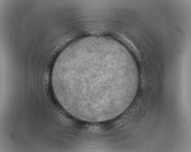 X0000112400113200909110937