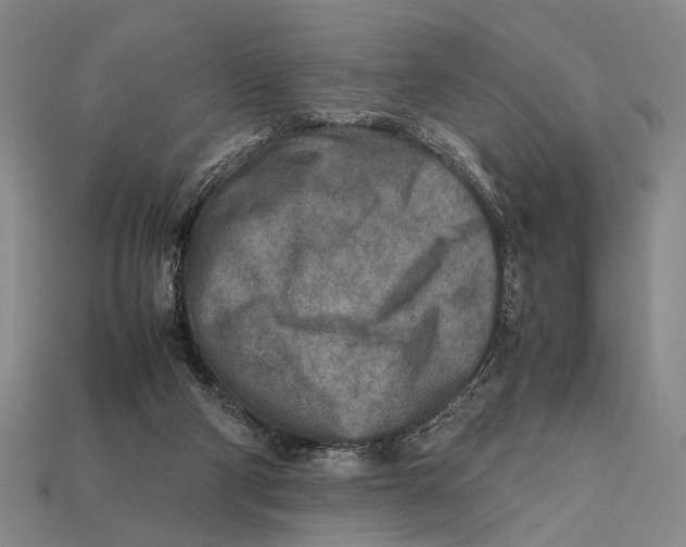 X0000112400114200909110937