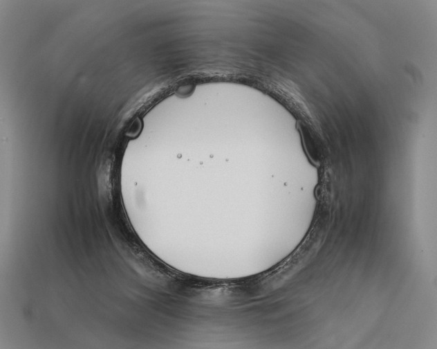 X0000112400116200909110937