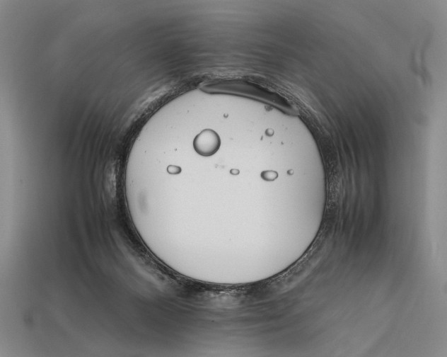 X0000112400120200909110937
