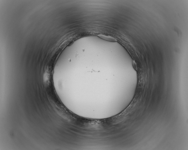 X0000112400124200909110937