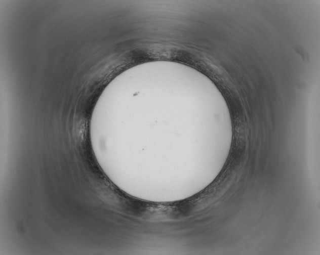 X0000112400125200909110937