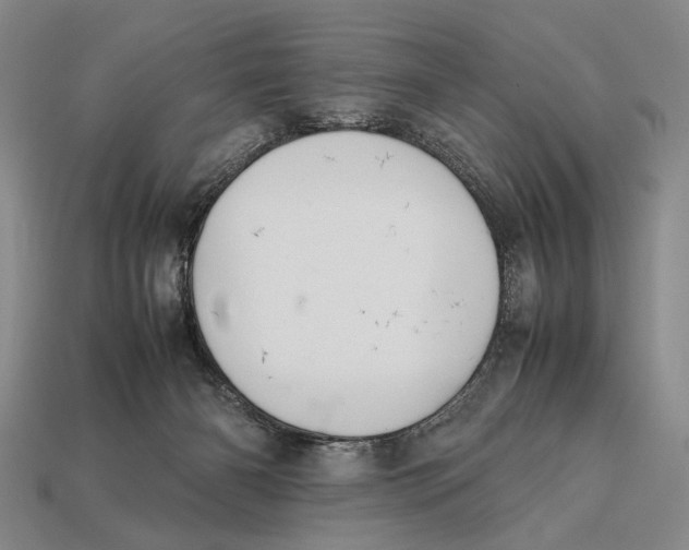 X0000112400126200909110937