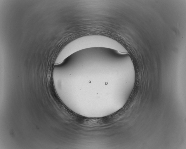 X0000112400129200909110937