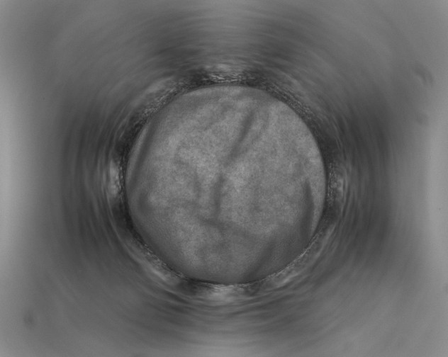 X0000112400130200909110937