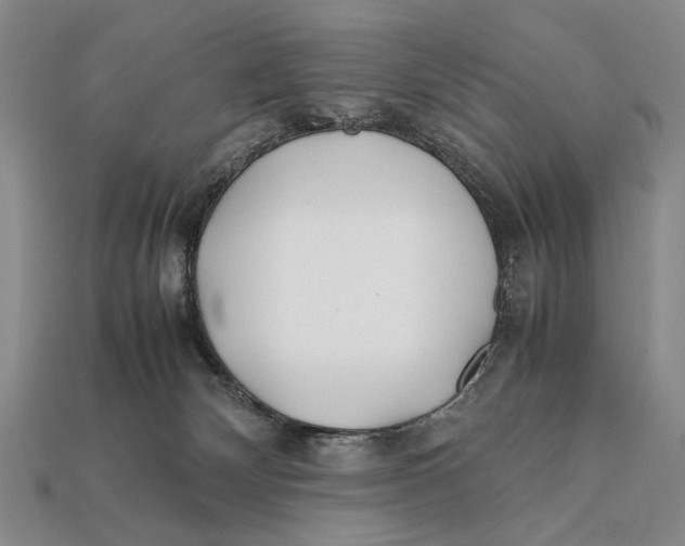 X0000112400132200909110937