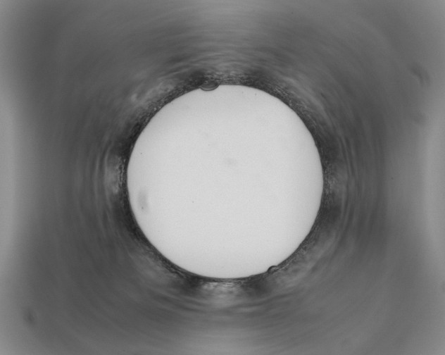 X0000112400133200909110937