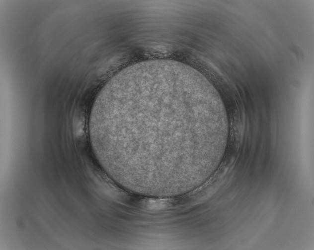 X0000112400134200909110937