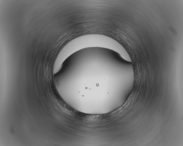 X0000112400136200909110937
