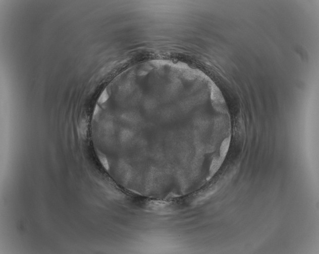 X0000112400139200909110937