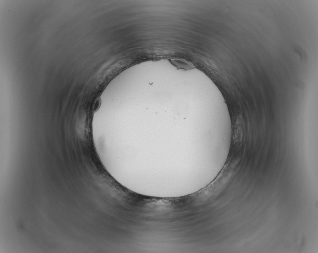 X0000112400140200909110937