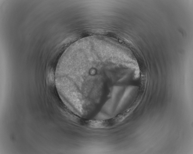 X0000112400143200909110937
