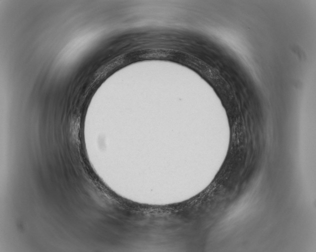 X0000112400146200909110936
