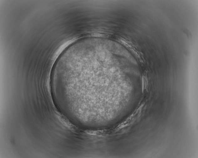 X0000112400147200909110936