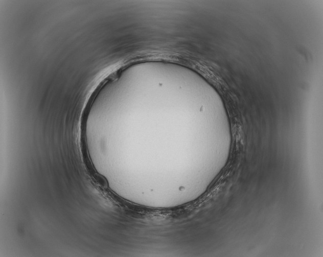 X0000112400148200909110936