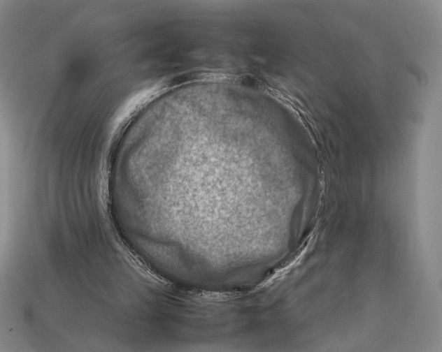 X0000112400149200909110936