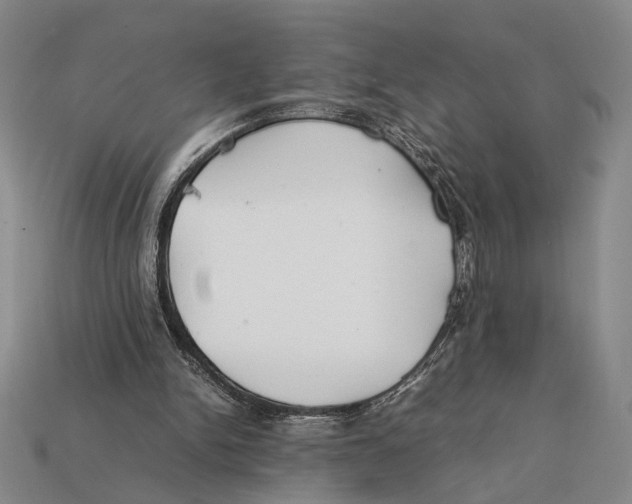 X0000112400150200909110936