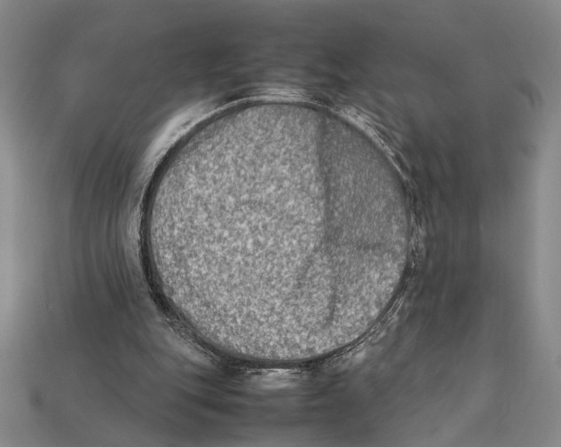 X0000112400151200909110936
