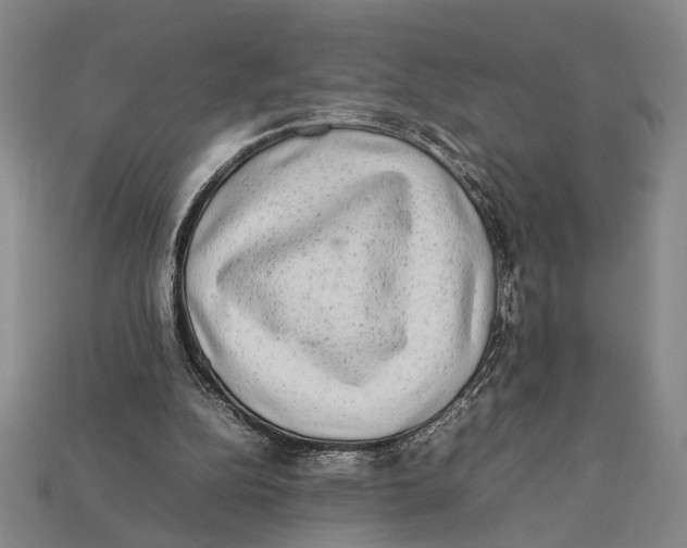 X0000112400152200909110936