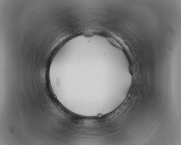 X0000112400154200909110936