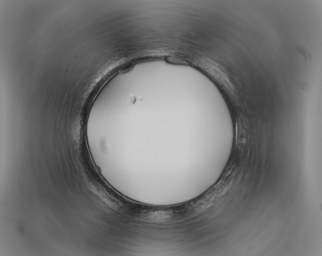 X0000112400156200909110936