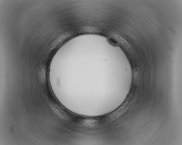 X0000112400158200909110936