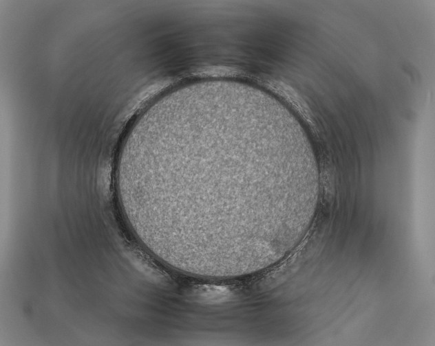 X0000112400159200909110936