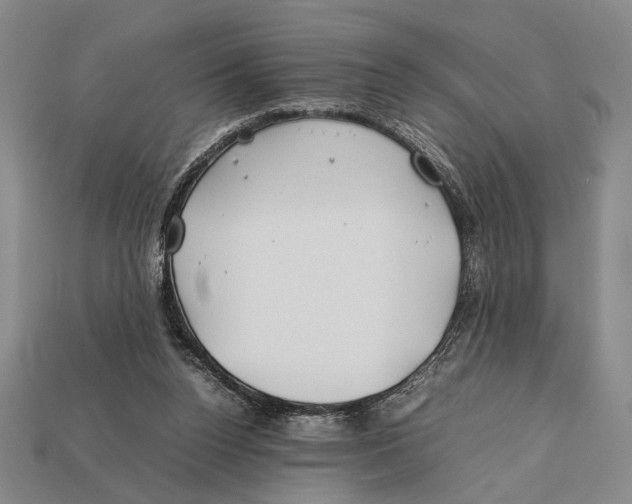 X0000112400160200909110936