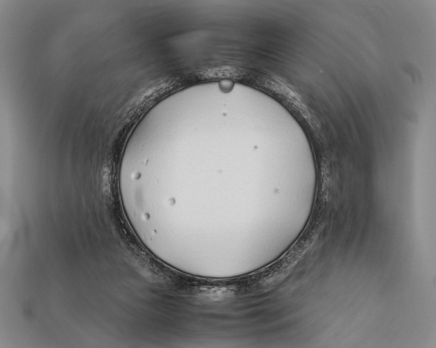 X0000112400161200909110936