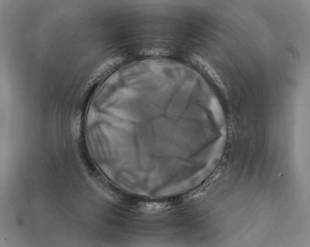 X0000112400163200909110937