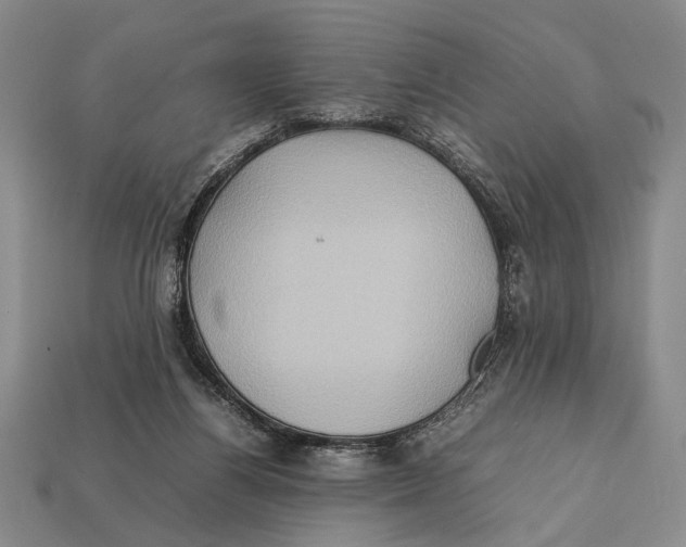 X0000112400164200909110937