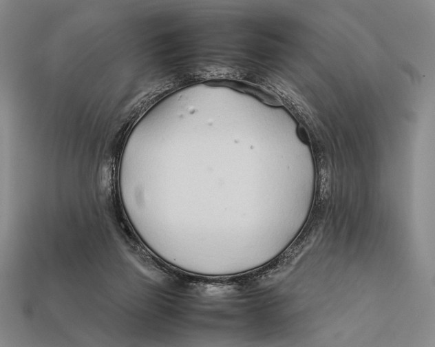 X0000112400165200909110937