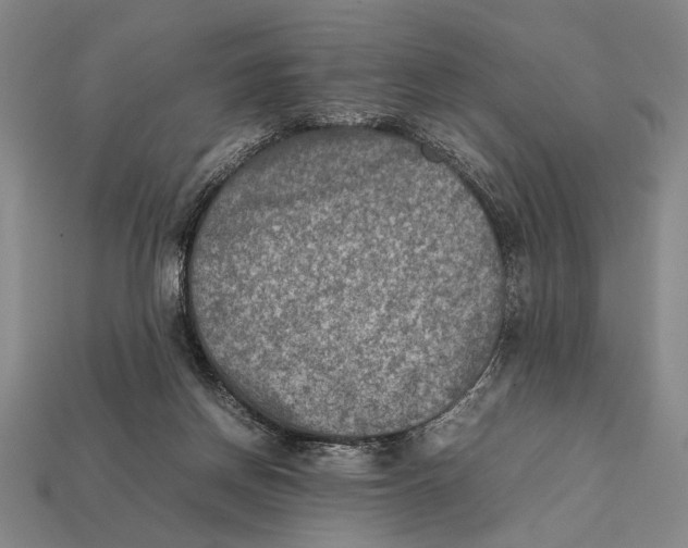 X0000112400166200909110937