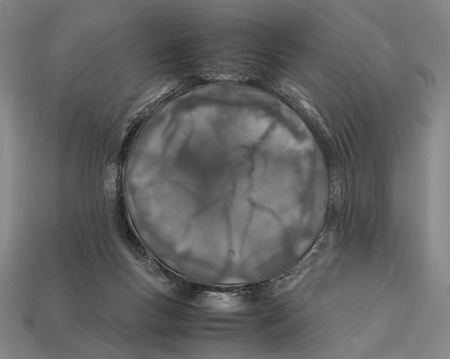 X0000112400167200909110937