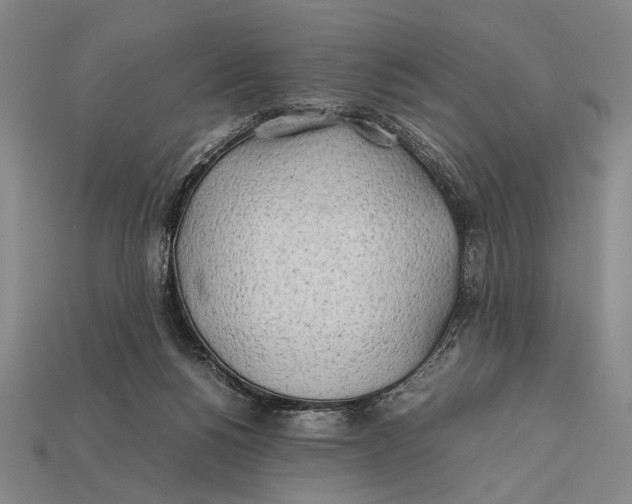 X0000112400168200909110937