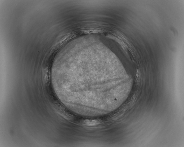 X0000112400169200909110937